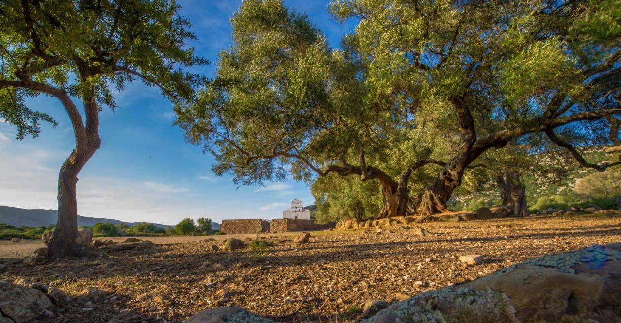 Appartamento A su Santu Nigola Baunei Esterno foto